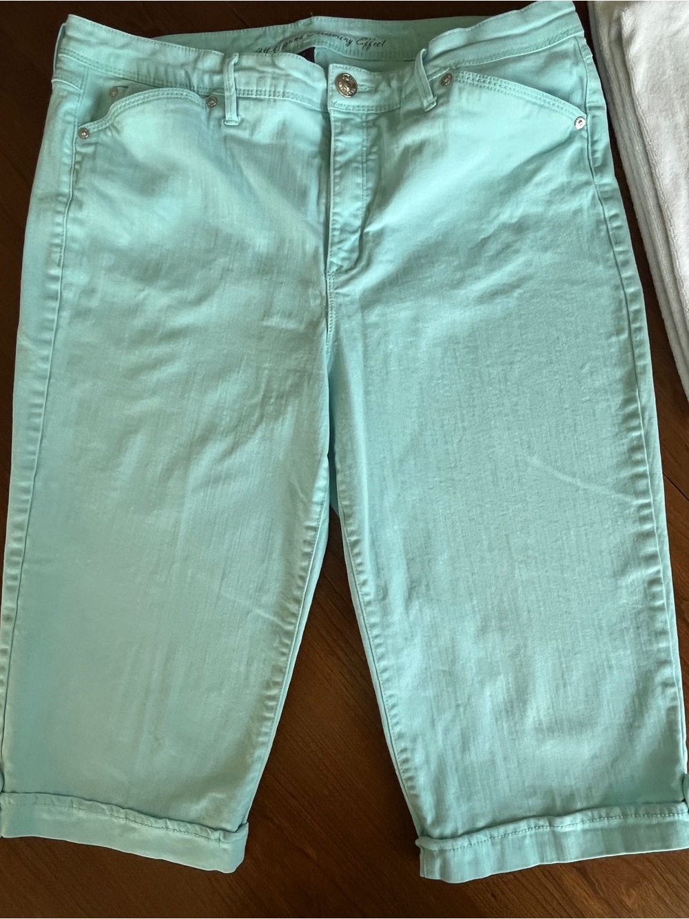 Gloria Vanderbilt Teal-Mint Green Capris (#114)